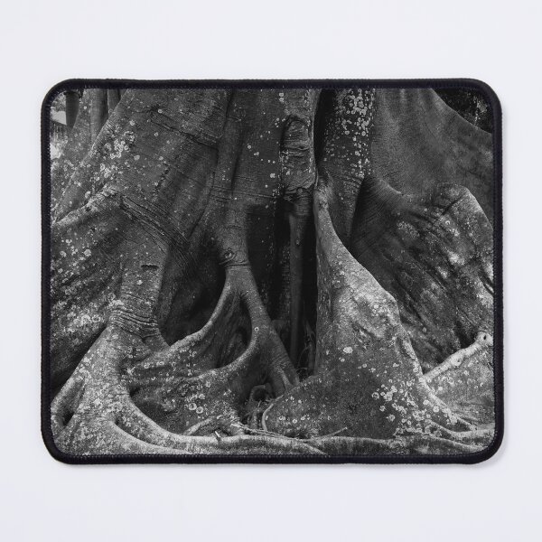 Item preview, Secret Tree designed and sold by Amy Brinkman.