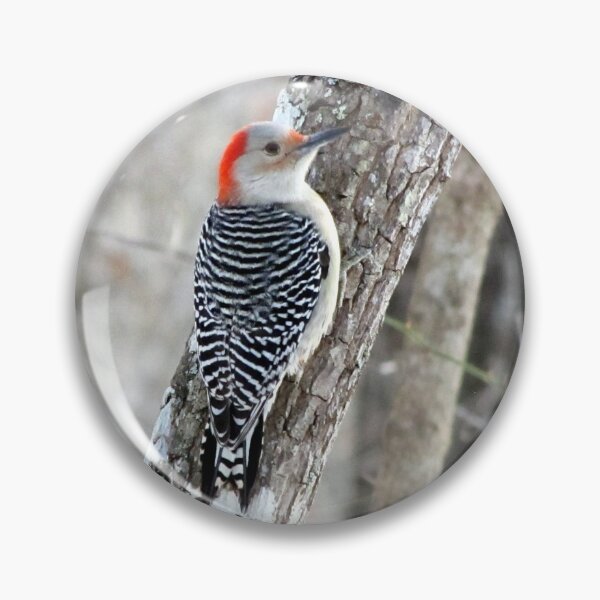 Item preview, Red-bellied Woodpecker in the Forest designed and sold by Jean Gregory Evans.
