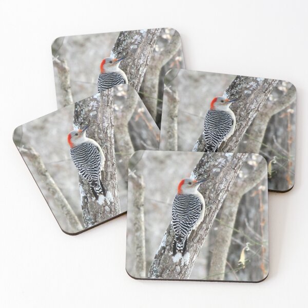 Item preview, Red-bellied Woodpecker in the Forest designed and sold by Jean Gregory Evans.