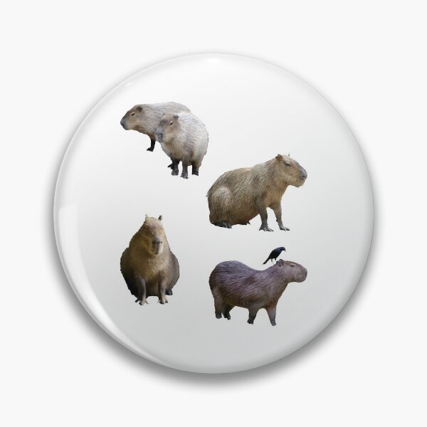 Item preview, Funny Capybara Pack designed and sold by BetterLeo.