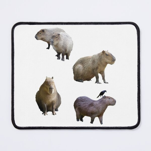 Item preview, Funny Capybara Pack designed and sold by BetterLeo.