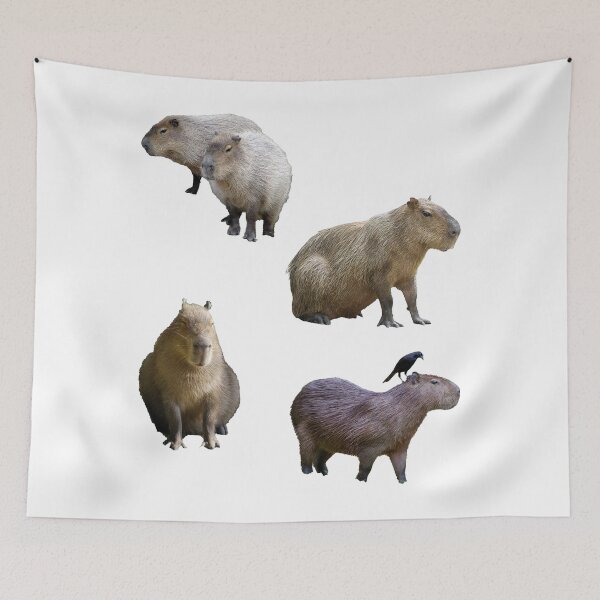 Item preview, Funny Capybara Pack designed and sold by BetterLeo.