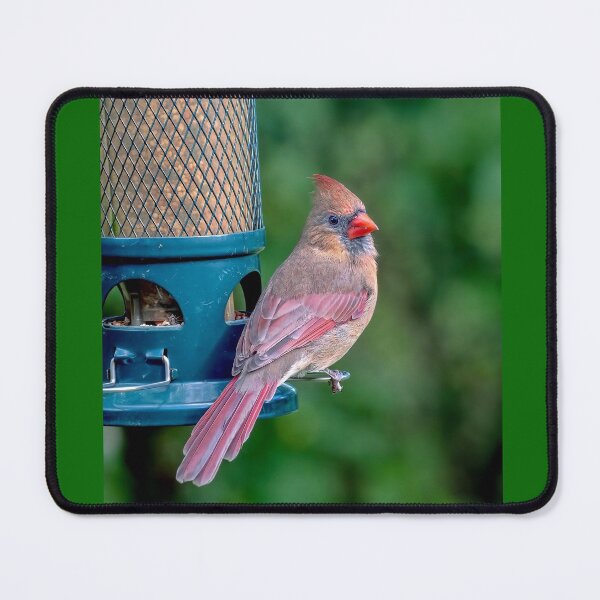 Item preview, Backyard Beauty designed and sold by Lanis Rossi.