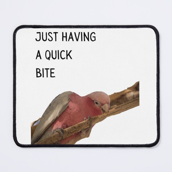Item preview, Just having a quick bite. Pink and grey galah. Photograph and black text. designed and sold by JellyBeenzz.