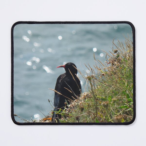 Cornish Chough Mouse Pad