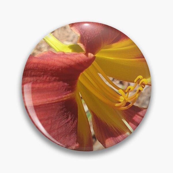Item preview, Gorgeous Daylily - Hemerocallis Baja designed and sold by Bennymp.