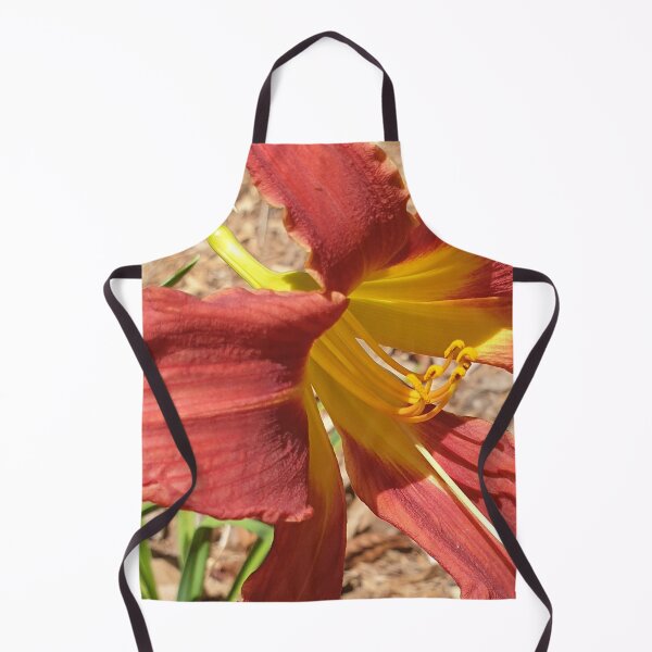 Item preview, Gorgeous Daylily - Hemerocallis Baja designed and sold by Bennymp.