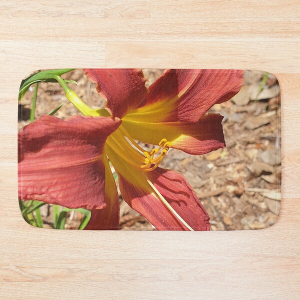 Item preview, Gorgeous Daylily - Hemerocallis Baja designed and sold by Bennymp.