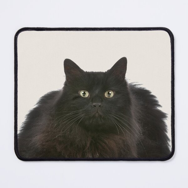 Item preview, Black Fluffy Cat designed and sold by Dreamflight.