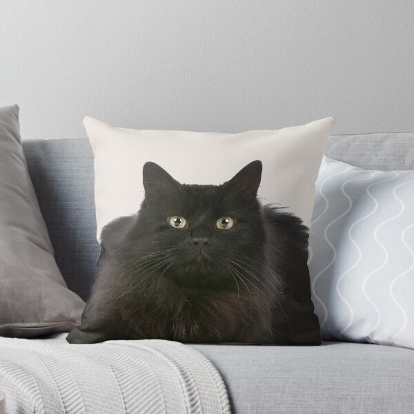 Item preview, Black Fluffy Cat designed and sold by Dreamflight.