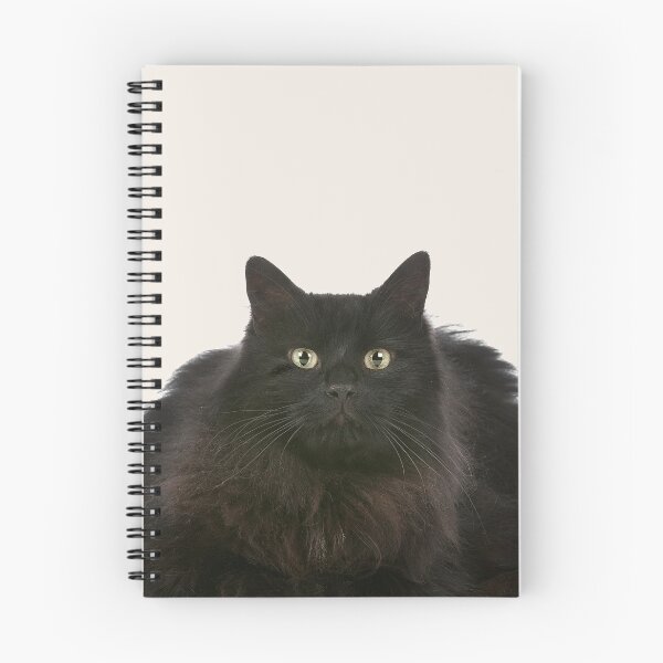 Item preview, Gato negro esponjoso designed and sold by Dreamflight.