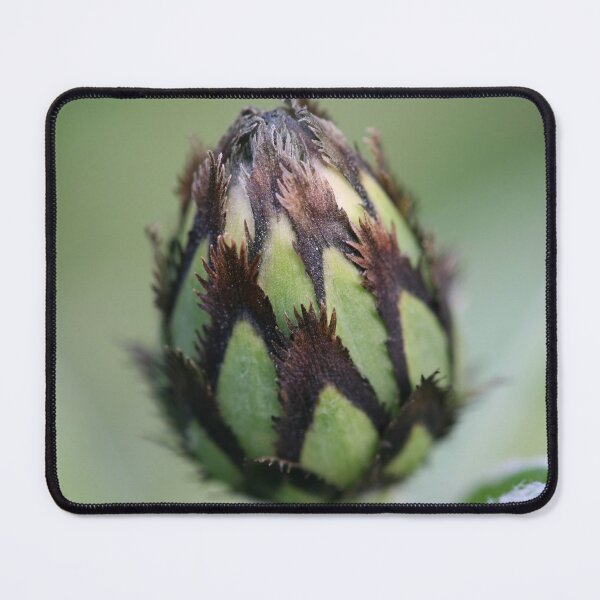 Item preview, new life designed and sold by markspics.