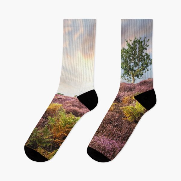 Item preview, Purple heather sunrise at Roydon Common Norfolk designed and sold by simonbratt.