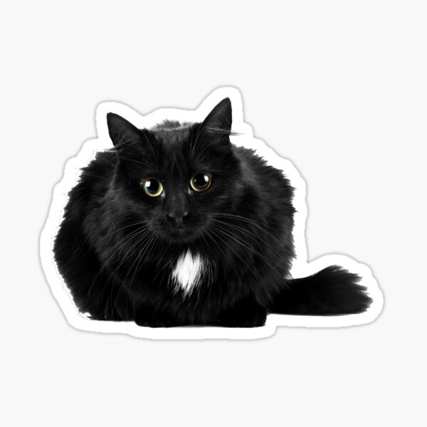 Item preview, Black Fluffy Cat designed and sold by Dreamflight.