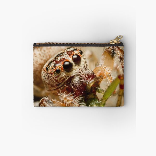 Item preview, (Servaea vestita) Jumping Spider Feeding #2 designed and sold by Kerrod Sulter.