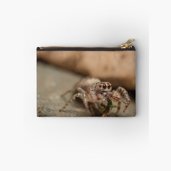 Item preview, (Servaea vestita) Jumping Spider Feeding designed and sold by Kerrod Sulter.