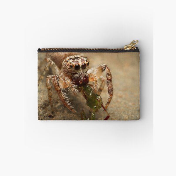 Item preview, (Servaea vestita) Jumping Spider Feeding #3 designed and sold by Kerrod Sulter.