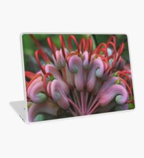Grevillea heliosperma Laptop Skin