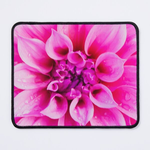 Item preview, Pink Purple Magenta Dahlia. Close up of centre designed and sold by JellyBeenzz.