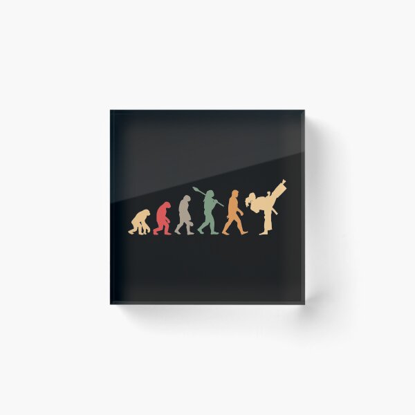 Item preview, Karate evolution vintage designed and sold by jentochicken.