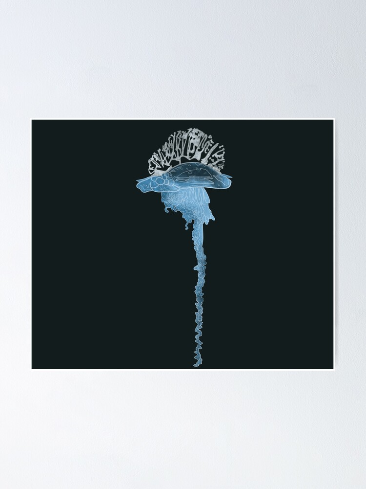 Thumbnail 1 of 3, Poster, Australian Bluebottle designed and sold by Arkneer.