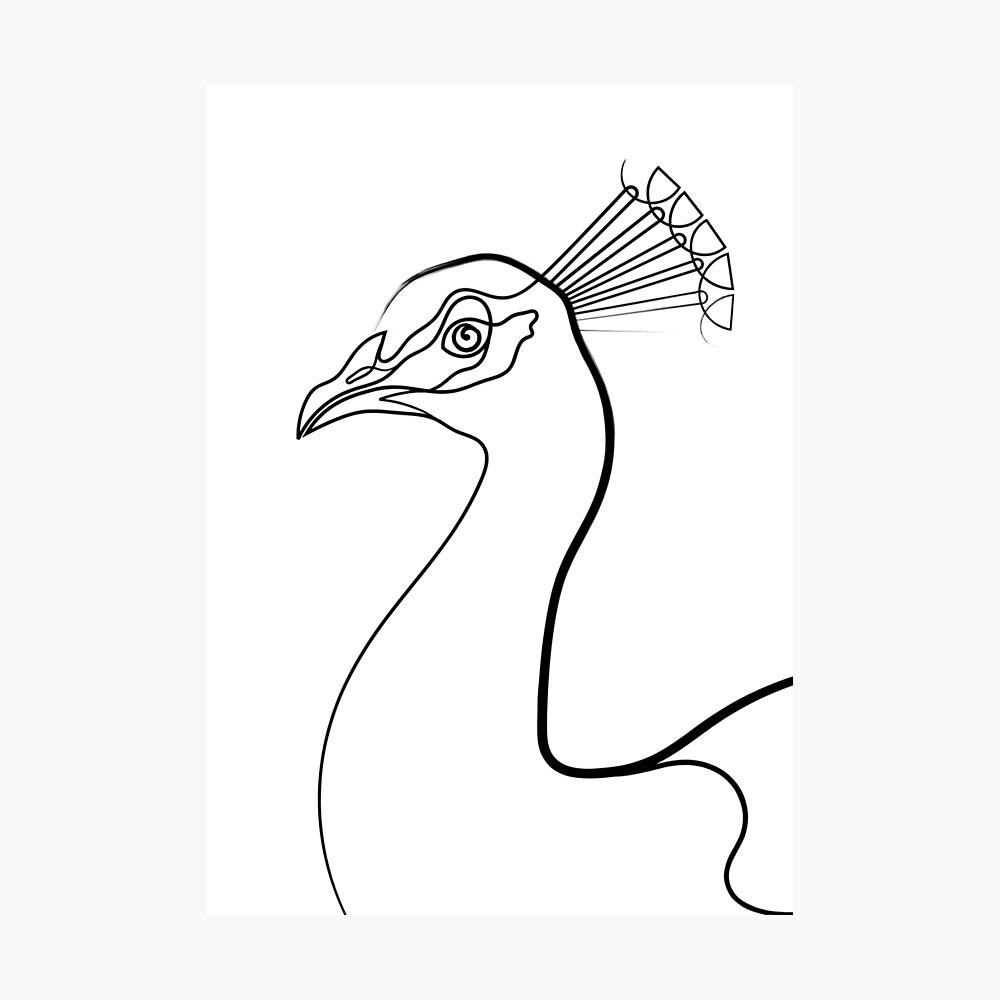 Abstract Peacock Line Art Symbol Graphic Stock Illustration - Download  Image Now - Abstract, Art, Beauty - iStock
