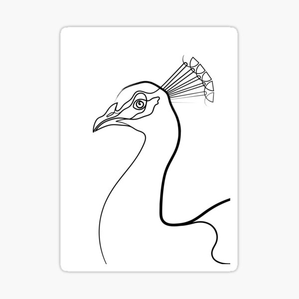 Line art Peafowl Drawing, peacock, animals, peafowl png | PNGEgg