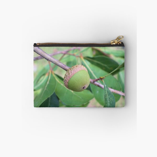 Artikelvorschau, Oak Seed entworfen und verkauft von Bob Hardy.