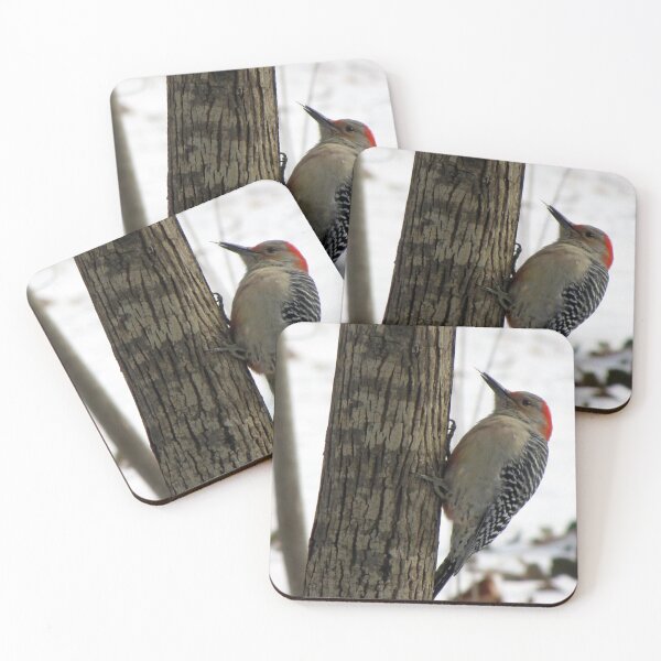Item preview, Red-bellied Woodpecker sticks out tongue designed and sold by Jean Gregory Evans.