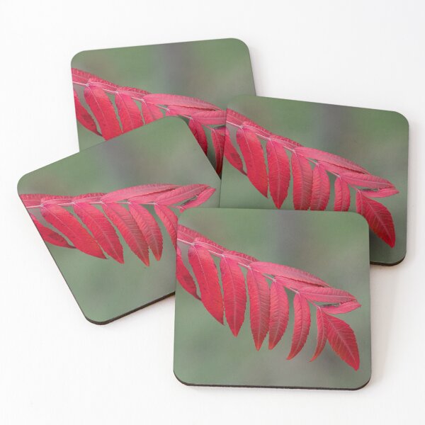 Item preview, Sumac Leaves on the Betty Sutherland Trail Park, Toronto designed and sold by Gerda Grice Photography.