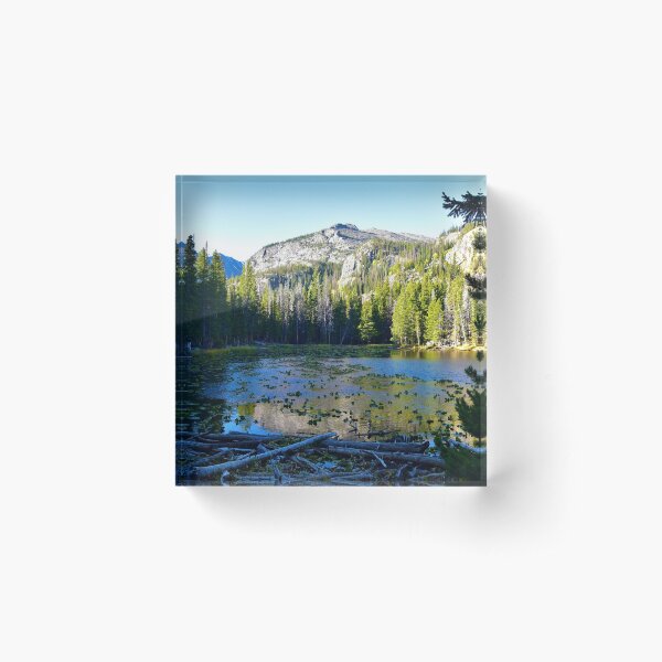 Morning at Nymph Lake - Colorado Acrylic Block