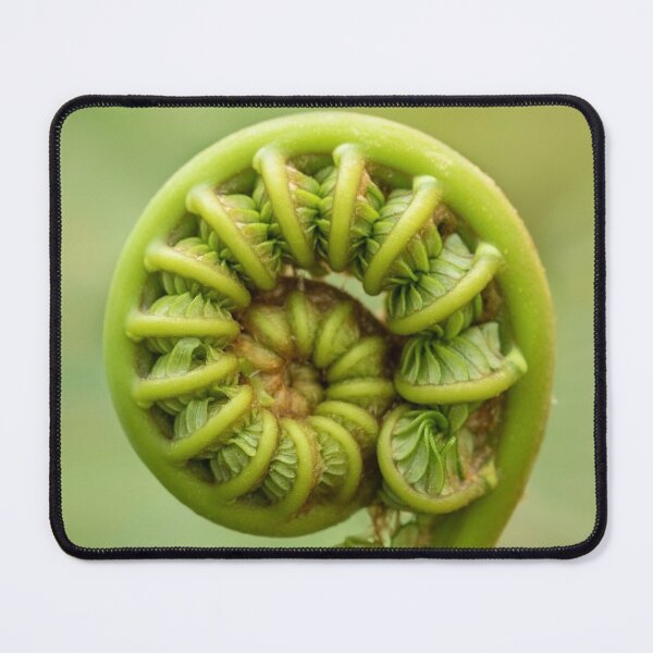 Item preview, It's a New Life designed and sold by chuckirina.