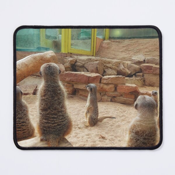Item preview, Meerkats designed and sold by WatkinsPhotos.