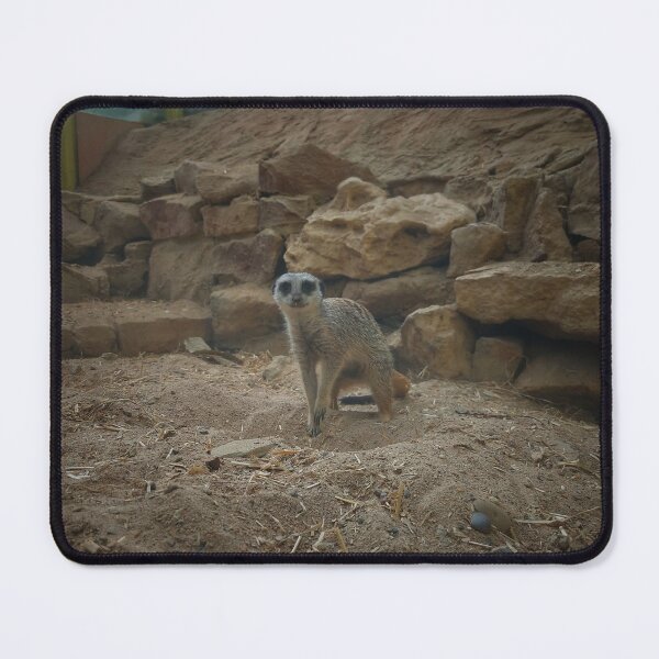 Item preview, "What you looking at?!" designed and sold by WatkinsPhotos.
