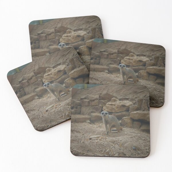 Item preview, "What you looking at?!" designed and sold by WatkinsPhotos.