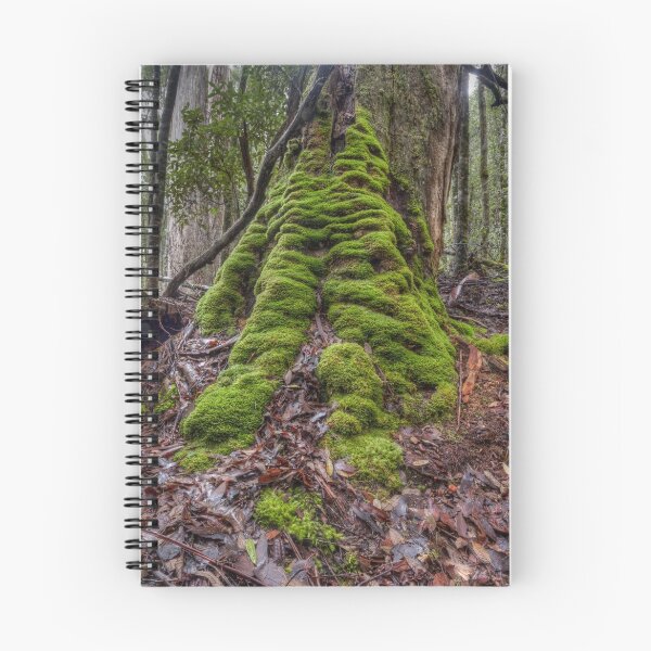 Item preview, Tall tree, Mt Field designed and sold by Jim Lovell.