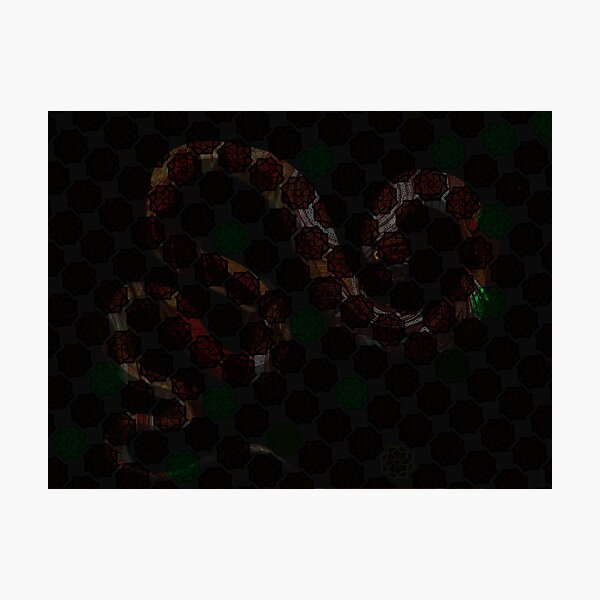 Gucci Snake Photographic Prints for Sale
