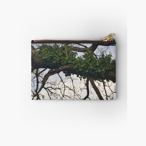 Item preview, Ivy Here, Where's Holly designed and sold by lynn carter.