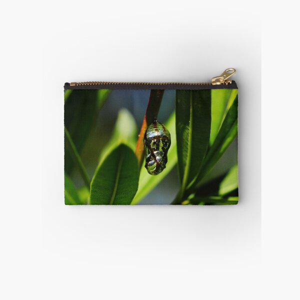 Item preview, Chrysalis  designed and sold by AMBPIXELS.