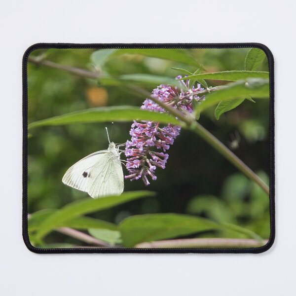 Item preview, Cabbage White Butterfly designed and sold by pinkal.