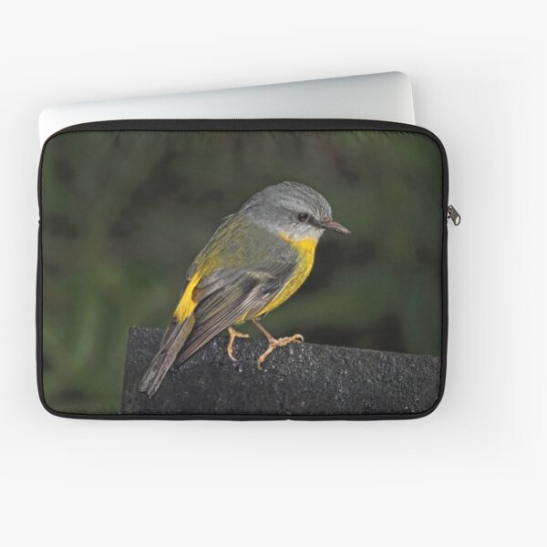 Eastern Yellow Robin Laptop Sleeve