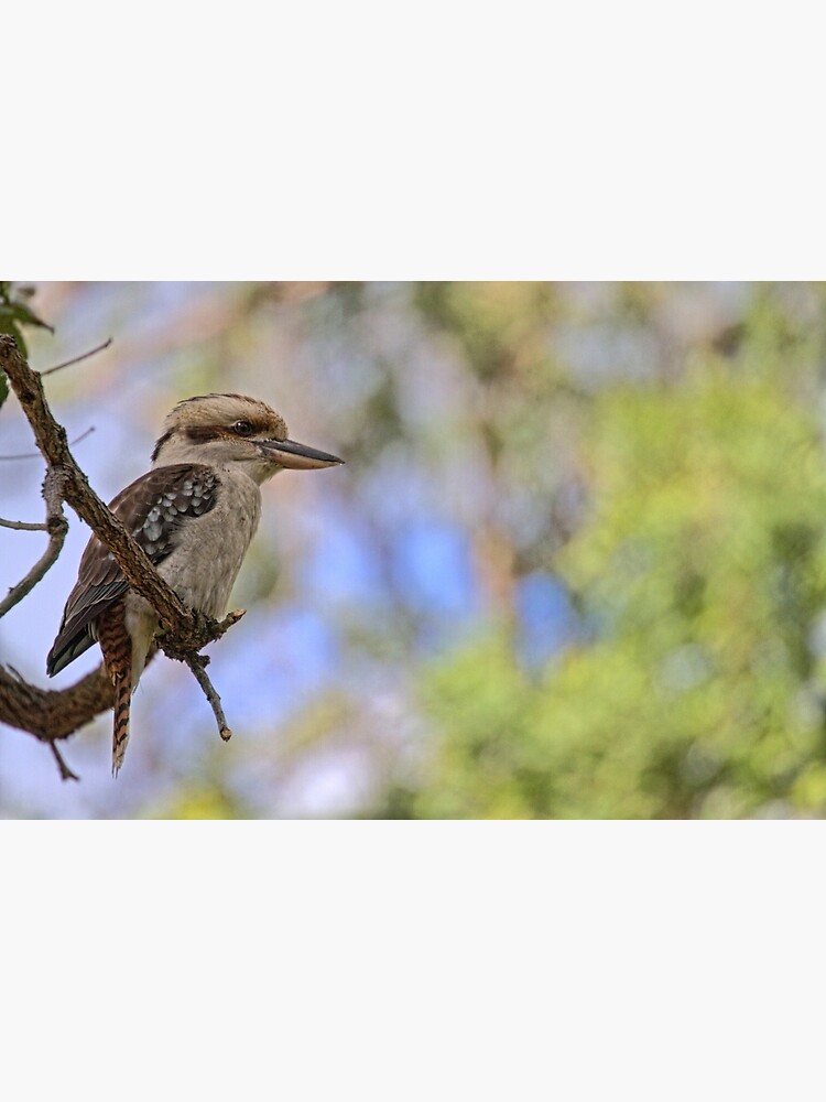 Thumbnail 2 of 2, Laptop Sleeve, Kookaburra Watching designed and sold by theoddshot.