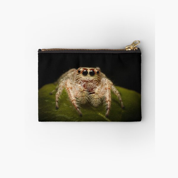 Item preview, (Servaea vestita) Jumping Spider designed and sold by Kerrod Sulter.