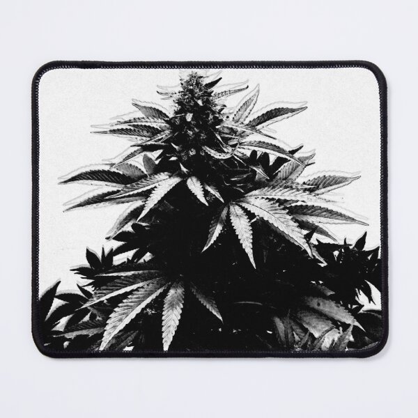 Item preview, In Full Indica 2 designed and sold by foggynotion.