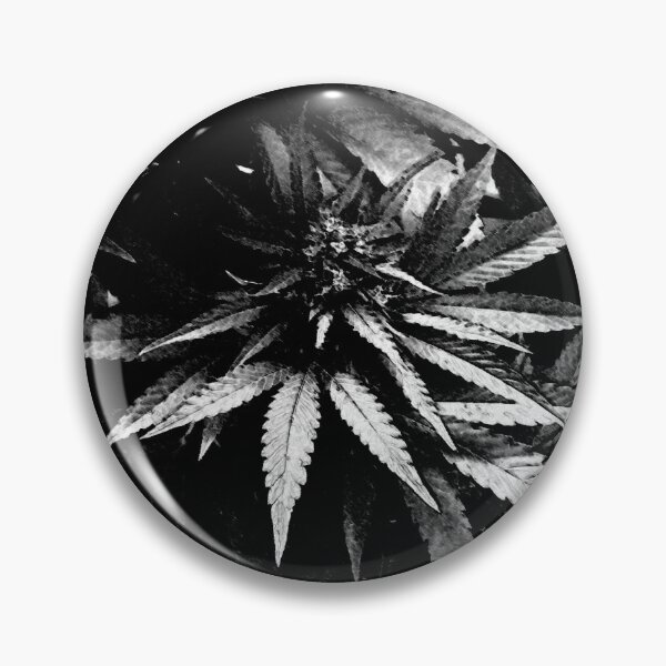 Item preview, In Full Indica 2 designed and sold by foggynotion.
