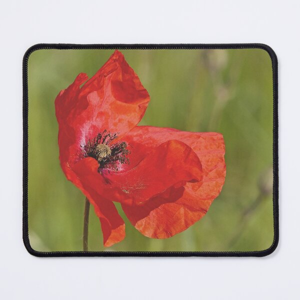 Artikelvorschau, r3060/ " un Coquelicot en Ecoute ! " par Okaio Créations Olavia - Olao entworfen und verkauft von o.okaïo.