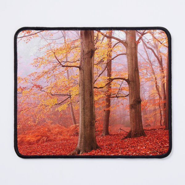 Item preview, Burnham Beeches. November designed and sold by chuckirina.