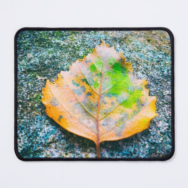 Item preview, Close up shot a a colorful fall leaf with selective focus and vignetting designed and sold by Silvia Ganora.