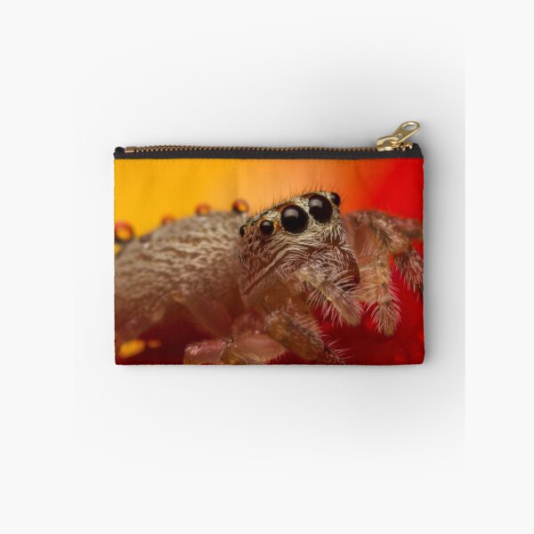 Item preview, (Servaea vestita) Jumping Spider On Rose #3 designed and sold by Kerrod Sulter.