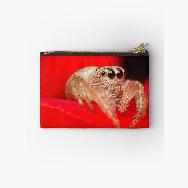 Item preview, (Servaea vestita) Jumping Spider On Rose designed and sold by Kerrod Sulter.
